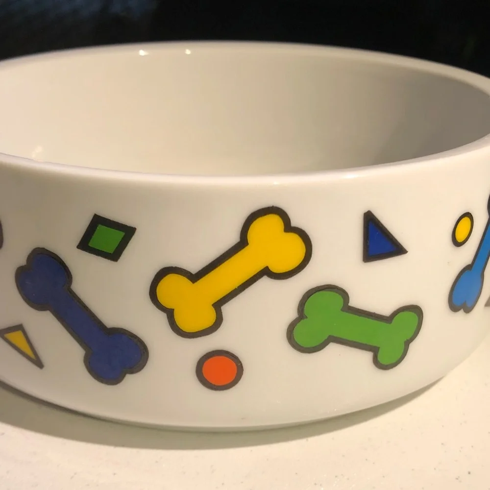 Ceramic large Dog Bowl with Colorful Bone Pattern - White